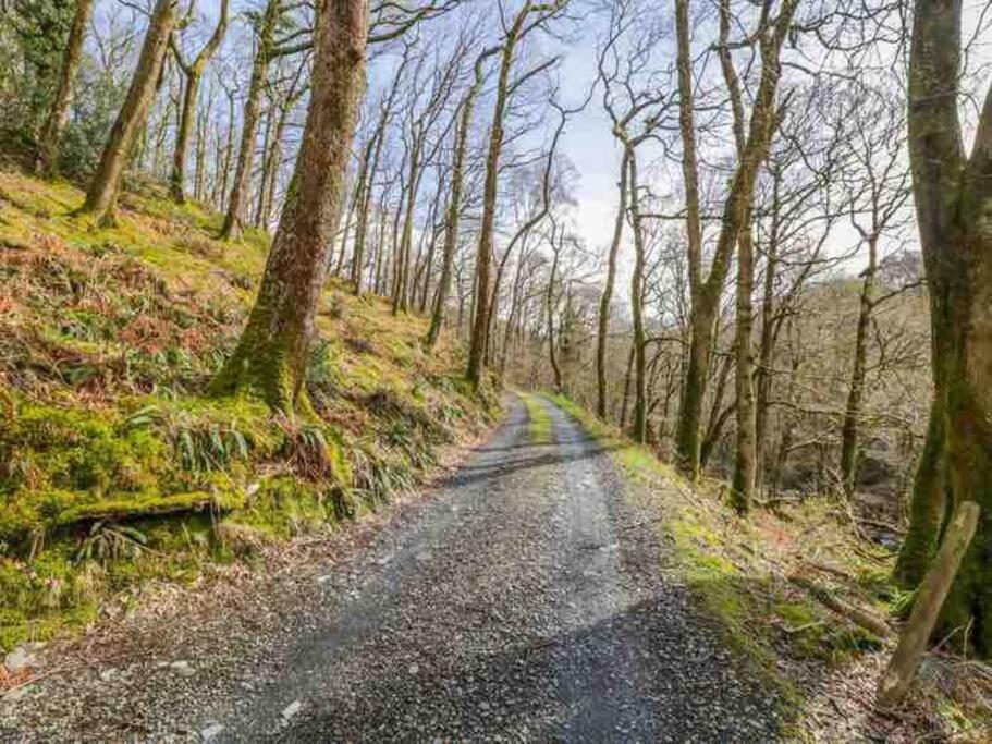 Pandy Farmhouse - Panoramic Mountain Views Within Snowdonia'S National Park - 4X4 Recommended Dolgellau Exterior foto